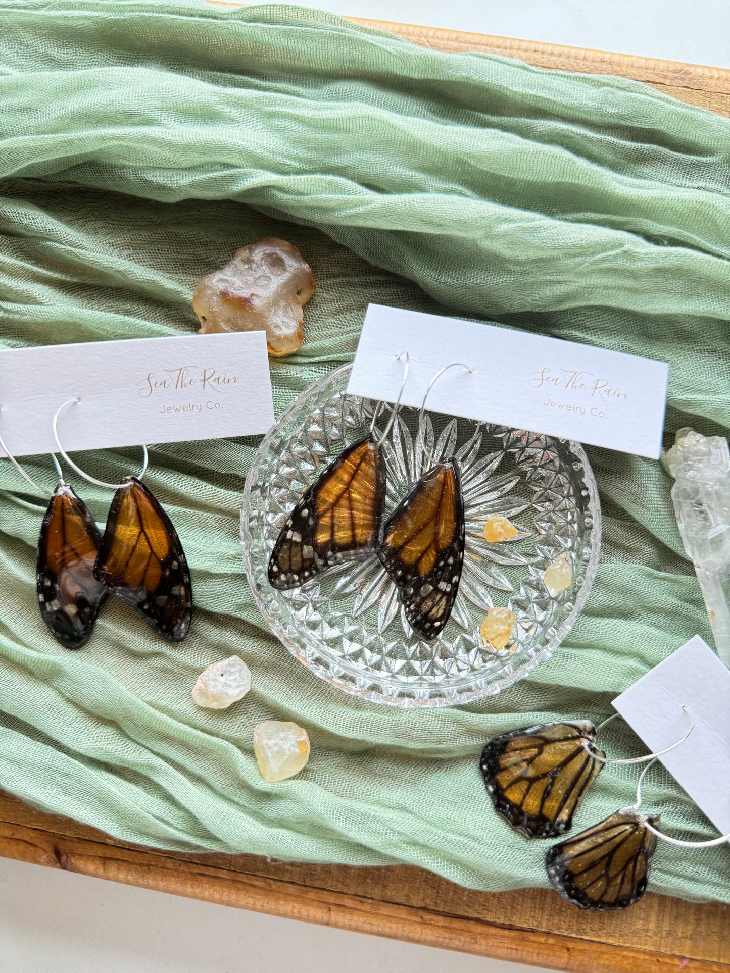 Monarch Butterfly Wings