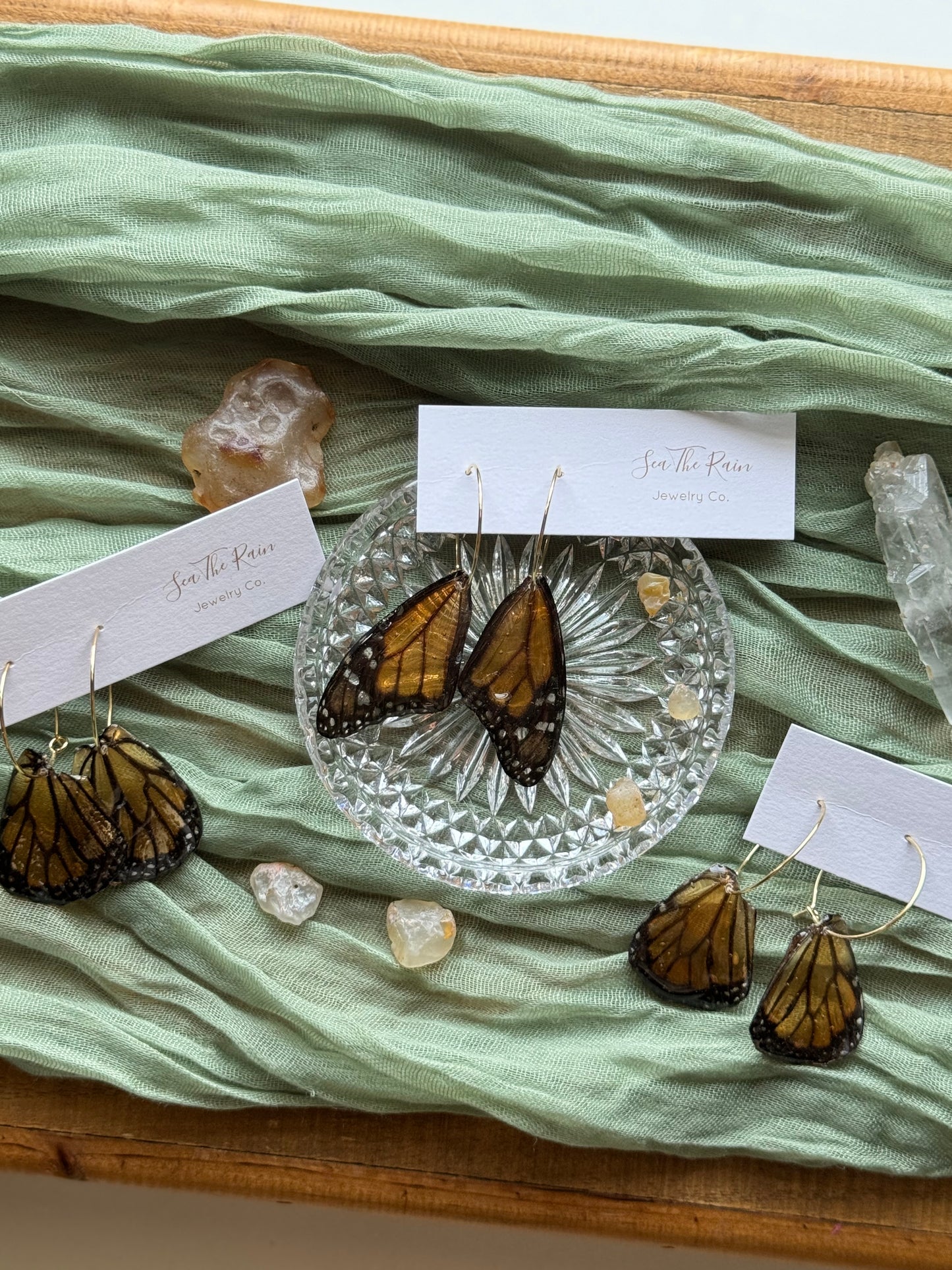 Monarch Butterfly Wings